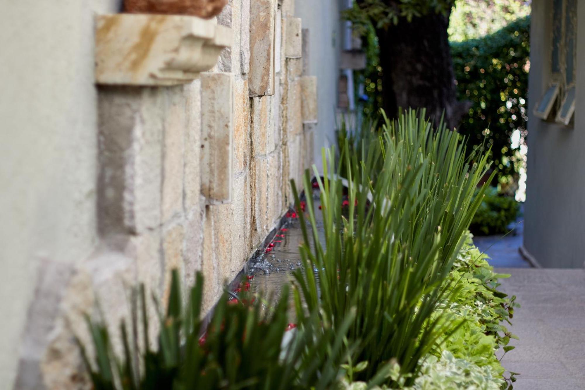 Casa Aliz Hotel San Miguel de Allende Ngoại thất bức ảnh